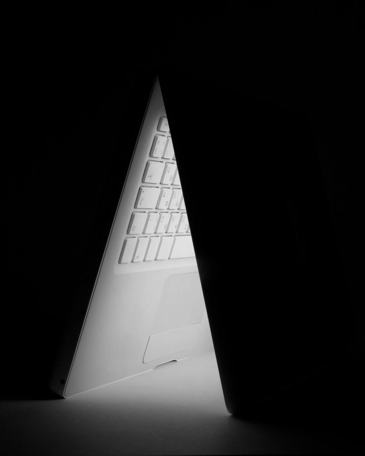 Webzentics team member with laptop