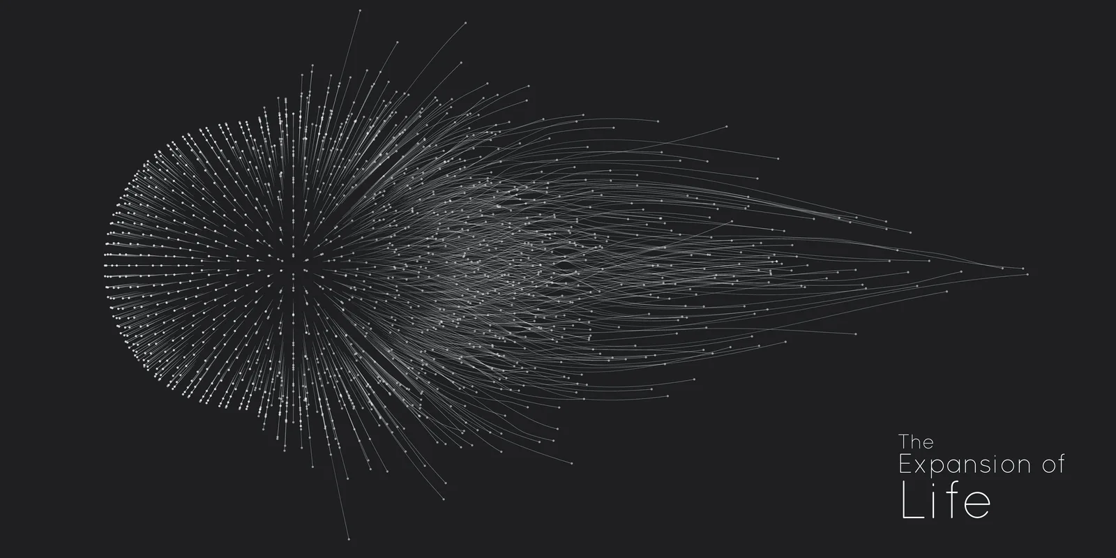 Build and scale online — Web Zentics AI services