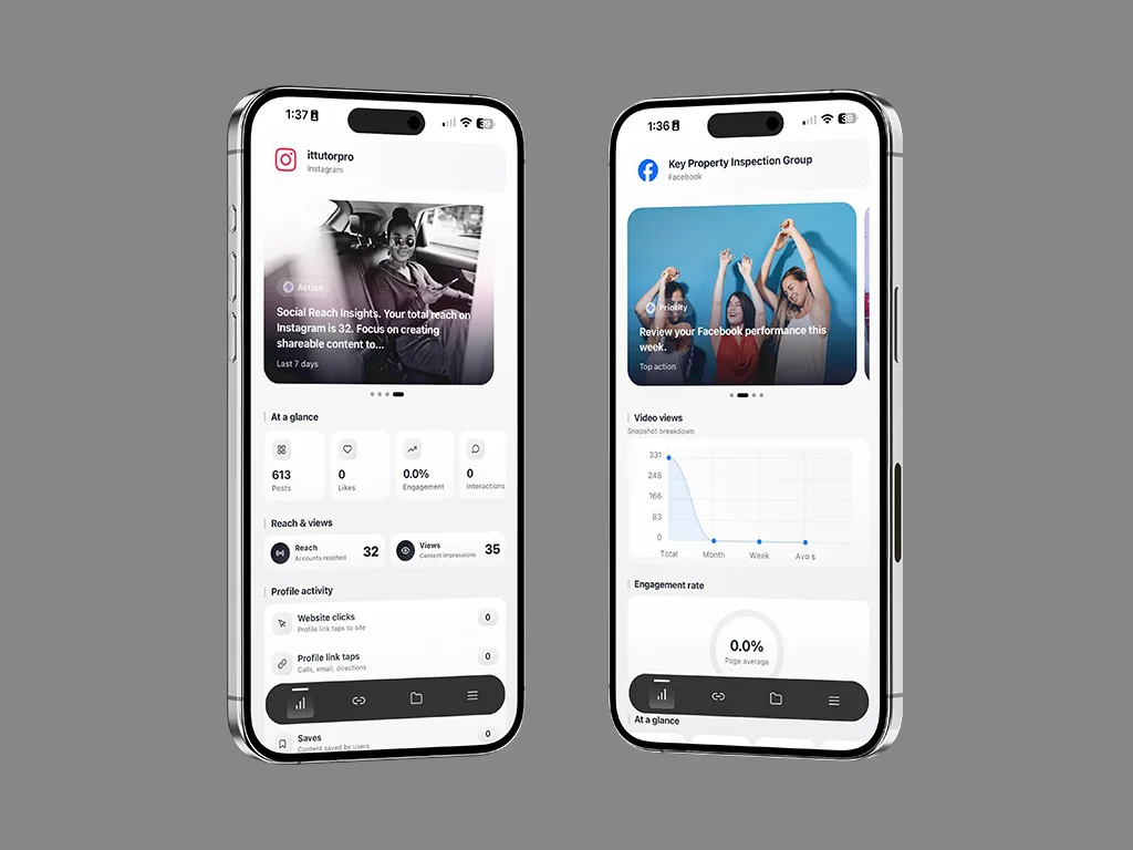 Web Zentics AI Instagram and Facebook analytics screens